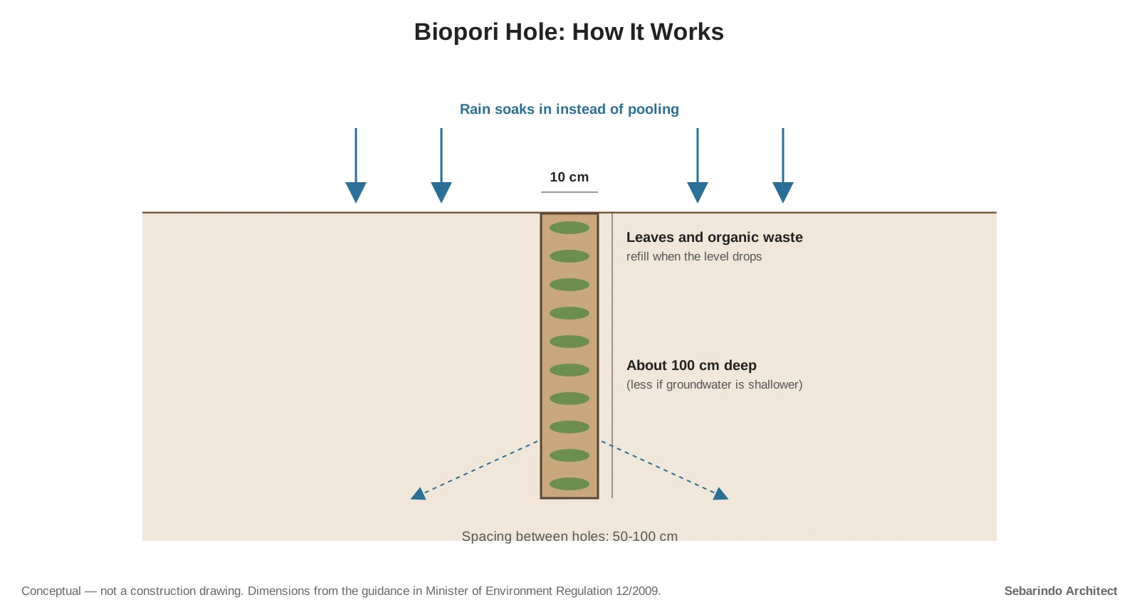Section of a vertical biopori hole 10 centimeters wide and about 100 centimeters deep filled with leaves, with rain soaking into the soil around it