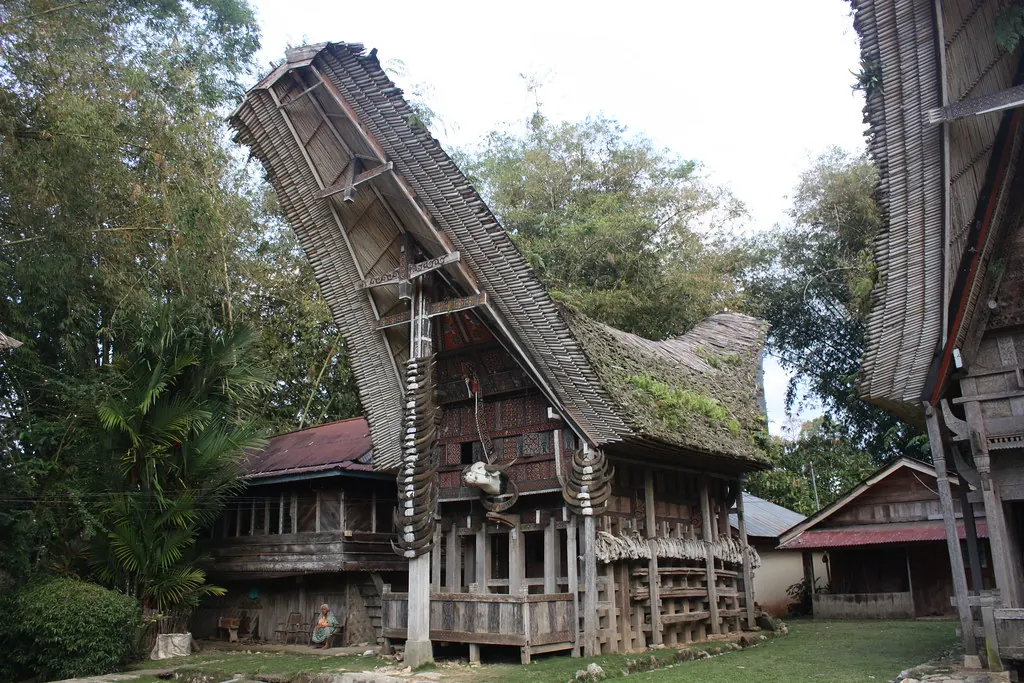 A tongkonan with a tall, sweeping boat-shaped roof of layered bamboo above a carved timber body raised on posts